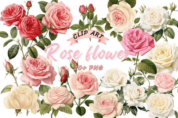 Whimsical Watercolor Rose Clipart for Elegant Designs
