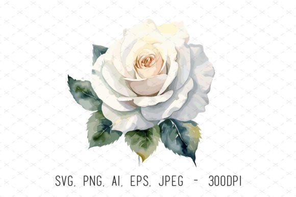 White Wedding Rose Sublimation Clipart for Elegant Designs
